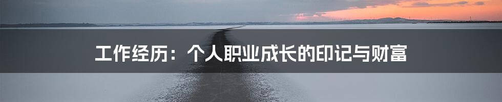 工作经历：个人职业成长的印记与财富