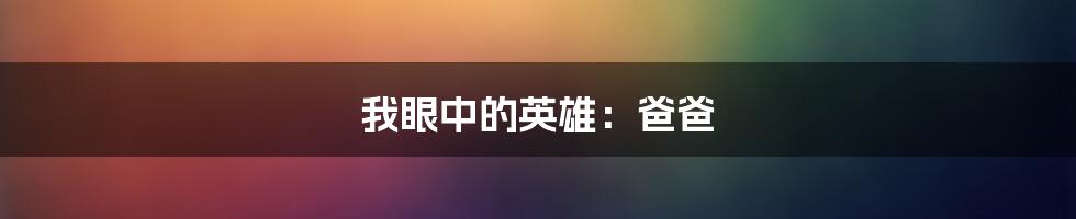 我眼中的英雄：爸爸