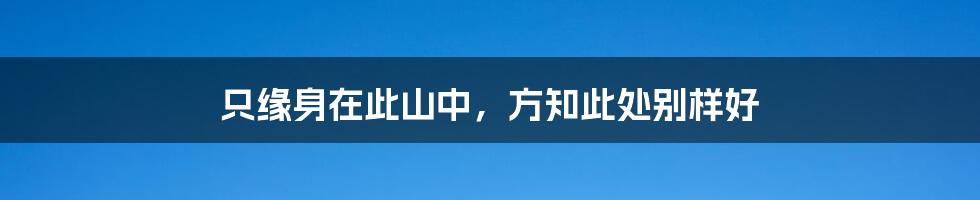 只缘身在此山中，方知此处别样好