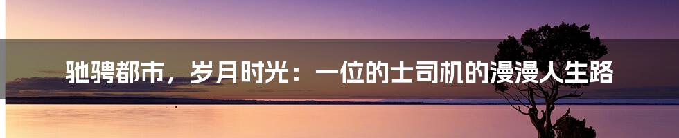 驰骋都市，岁月时光：一位的士司机的漫漫人生路