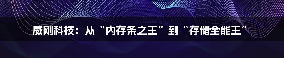 威刚科技：从“内存条之王”到“存储全能王”