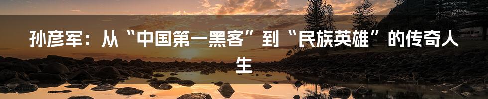 孙彦军：从“中国第一黑客”到“民族英雄”的传奇人生