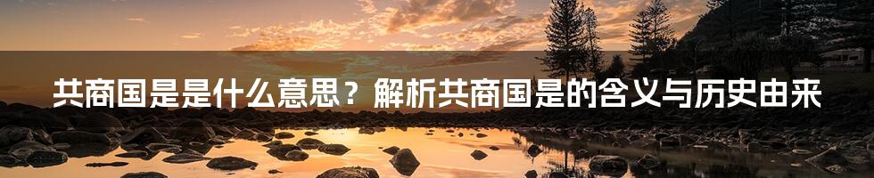 共商国是是什么意思？解析共商国是的含义与历史由来