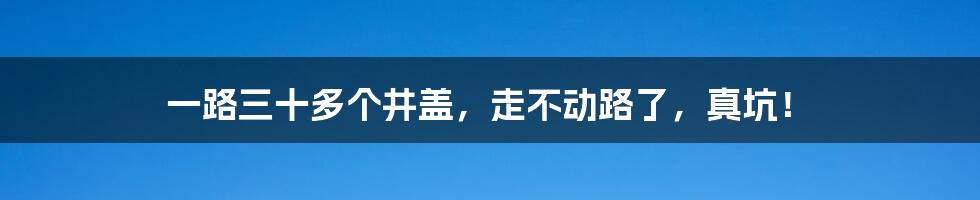 一路三十多个井盖，走不动路了，真坑！