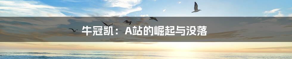 牛冠凯：A站的崛起与没落