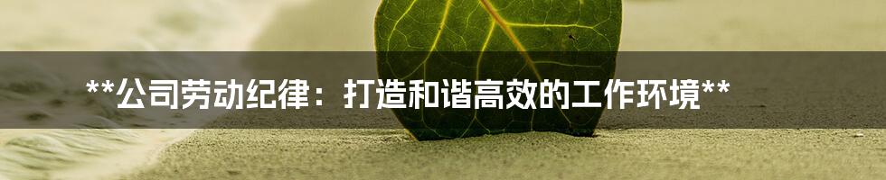 **公司劳动纪律：打造和谐高效的工作环境**