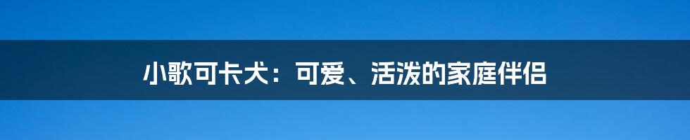 小歌可卡犬：可爱、活泼的家庭伴侣