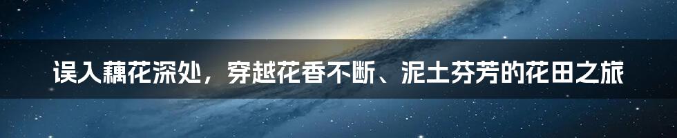 误入藕花深处，穿越花香不断、泥土芬芳的花田之旅