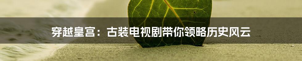 穿越皇宫：古装电视剧带你领略历史风云