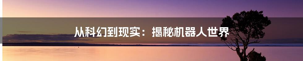 从科幻到现实：揭秘机器人世界