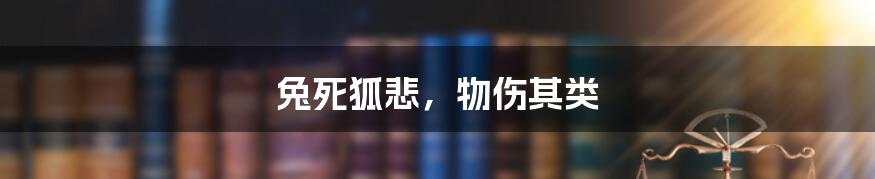 兔死狐悲，物伤其类