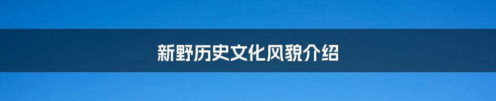 新野历史文化风貌介绍