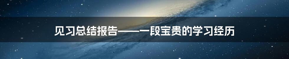 见习总结报告——一段宝贵的学习经历