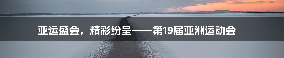 亚运盛会，精彩纷呈——第19届亚洲运动会