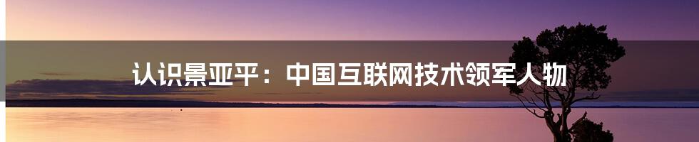 认识景亚平：中国互联网技术领军人物