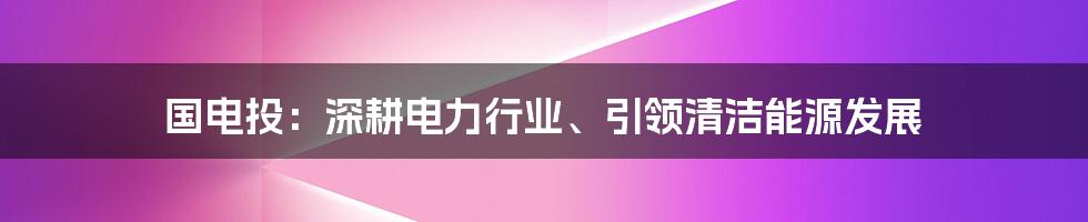 国电投：深耕电力行业、引领清洁能源发展