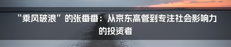 “乘风破浪”的张番番：从京东高管到专注社会影响力的投资者