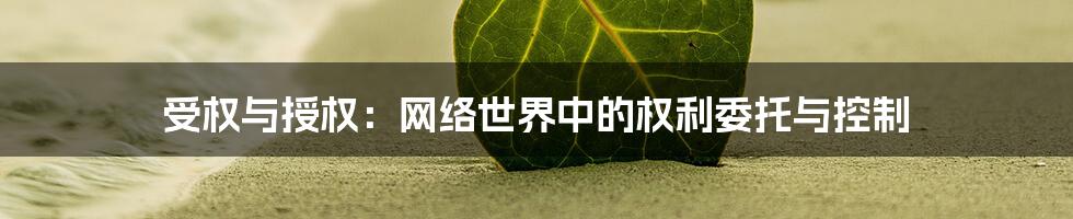 受权与授权：网络世界中的权利委托与控制