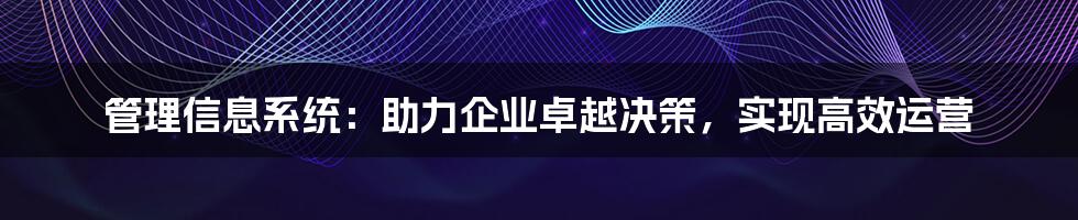 管理信息系统：助力企业卓越决策，实现高效运营