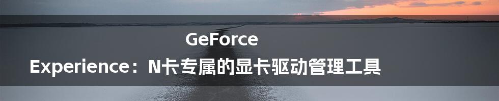 GeForce Experience：N卡专属的显卡驱动管理工具