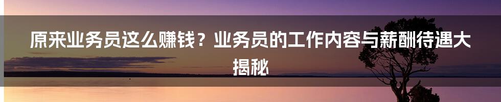 原来业务员这么赚钱？业务员的工作内容与薪酬待遇大揭秘