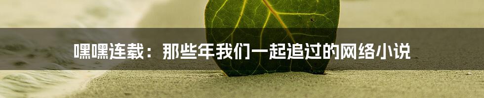 嘿嘿连载：那些年我们一起追过的网络小说