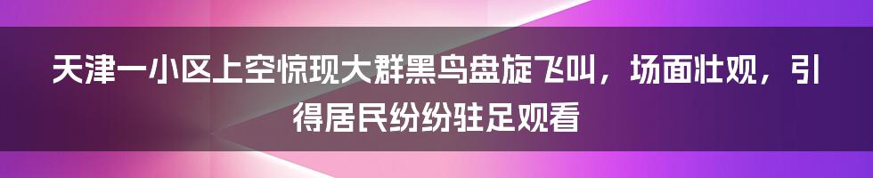 天津一小区上空惊现大群黑鸟盘旋飞叫，场面壮观，引得居民纷纷驻足观看