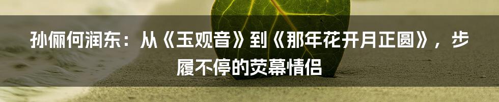 孙俪何润东：从《玉观音》到《那年花开月正圆》，步履不停的荧幕情侣