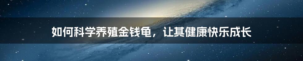 如何科学养殖金钱龟，让其健康快乐成长