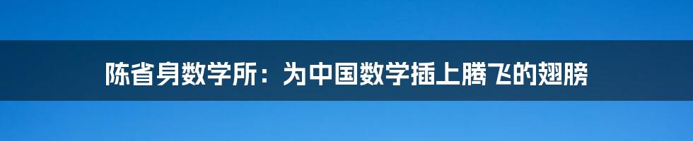 陈省身数学所：为中国数学插上腾飞的翅膀