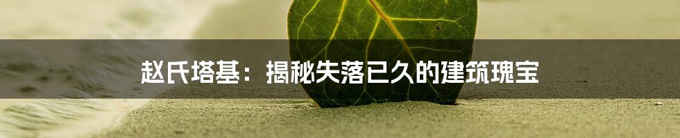 赵氏塔基：揭秘失落已久的建筑瑰宝