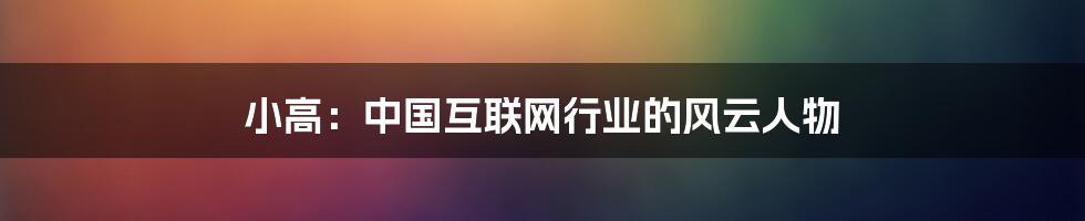 小高：中国互联网行业的风云人物