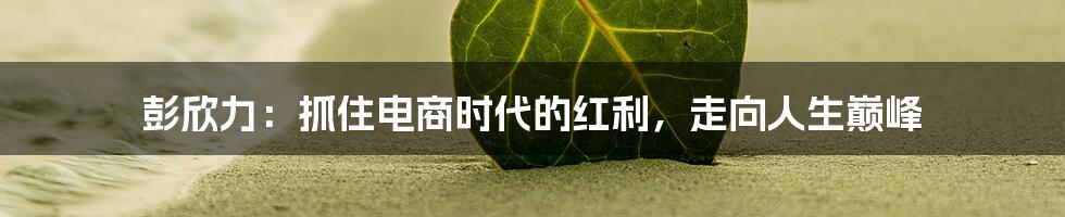 彭欣力：抓住电商时代的红利，走向人生巅峰