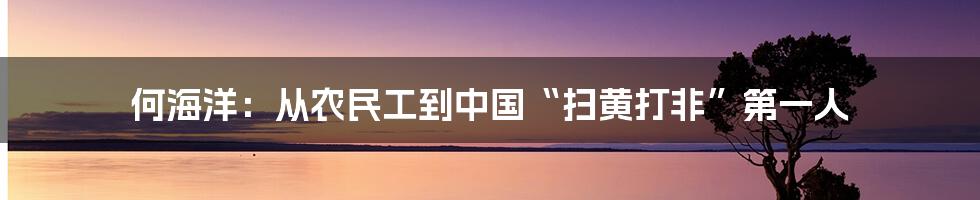 何海洋：从农民工到中国“扫黄打非”第一人