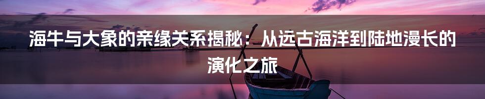 海牛与大象的亲缘关系揭秘：从远古海洋到陆地漫长的演化之旅