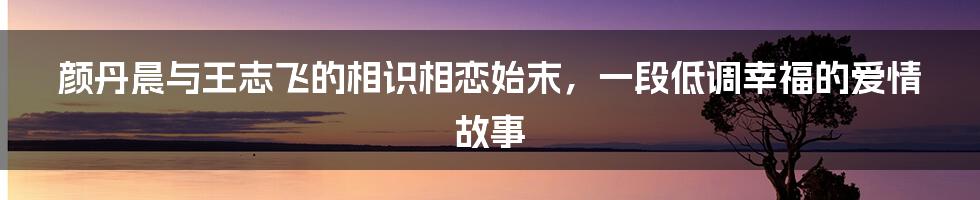 颜丹晨与王志飞的相识相恋始末，一段低调幸福的爱情故事