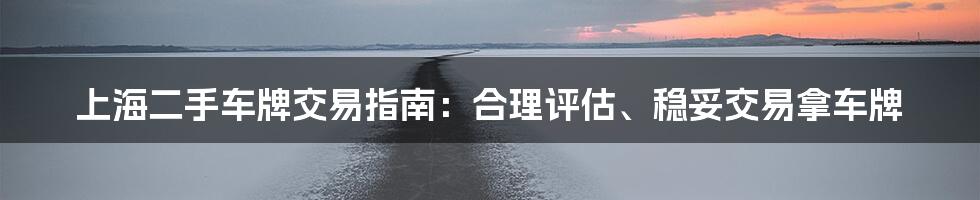 上海二手车牌交易指南：合理评估、稳妥交易拿车牌