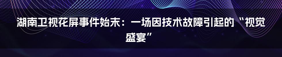 湖南卫视花屏事件始末：一场因技术故障引起的“视觉盛宴”