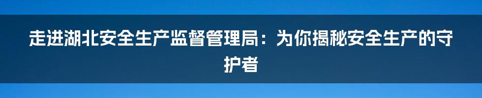 走进湖北安全生产监督管理局：为你揭秘安全生产的守护者