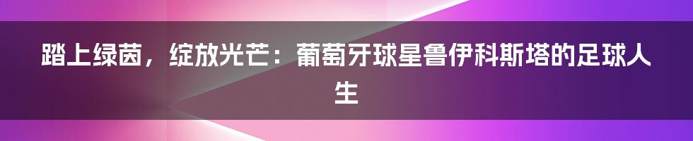 踏上绿茵，绽放光芒：葡萄牙球星鲁伊科斯塔的足球人生