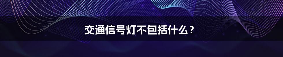 交通信号灯不包括什么？