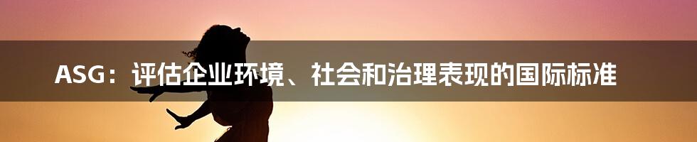 ASG：评估企业环境、社会和治理表现的国际标准