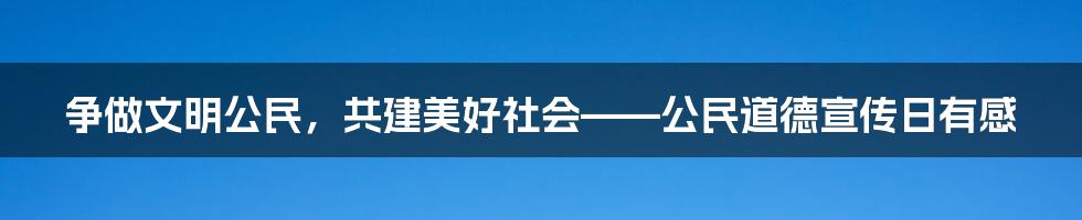 争做文明公民，共建美好社会——公民道德宣传日有感