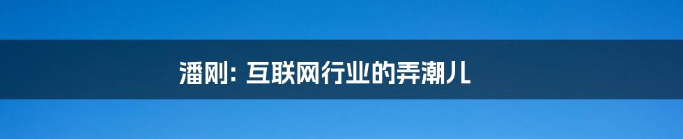 潘刚: 互联网行业的弄潮儿