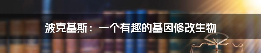 波克基斯：一个有趣的基因修改生物