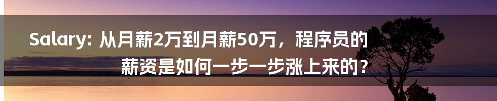 Salary: 从月薪2万到月薪50万，程序员的薪资是如何一步一步涨上来的？