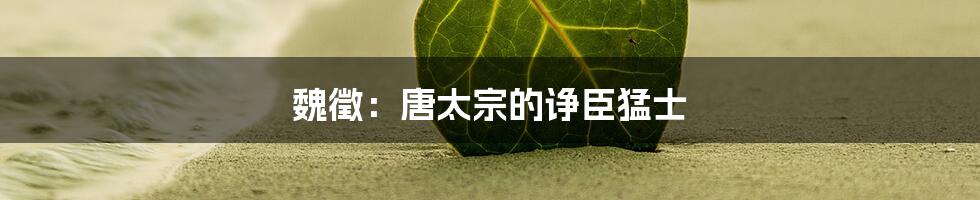 魏徵：唐太宗的诤臣猛士