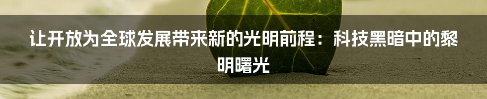 让开放为全球发展带来新的光明前程：科技黑暗中的黎明曙光