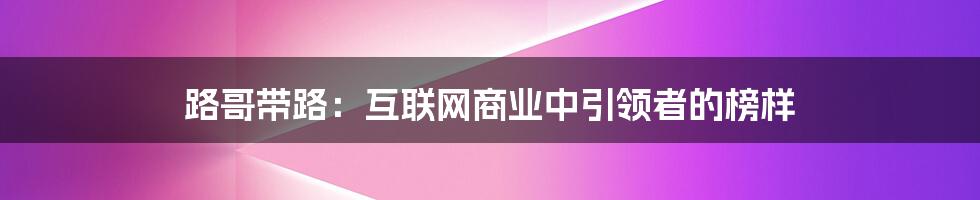 路哥带路：互联网商业中引领者的榜样