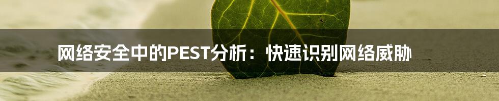 网络安全中的PEST分析：快速识别网络威胁